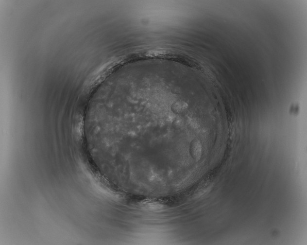 X0000113080648200909111004