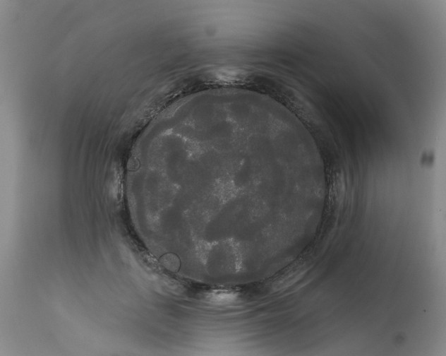 X0000113080651200909111004