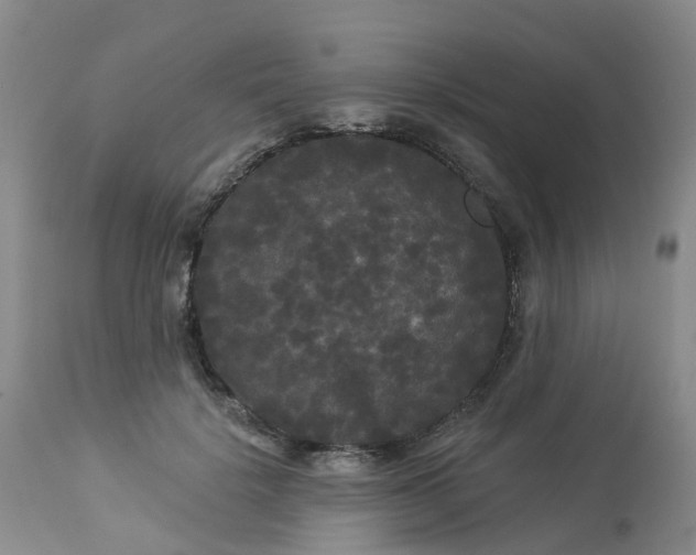 X0000113080652200909111004