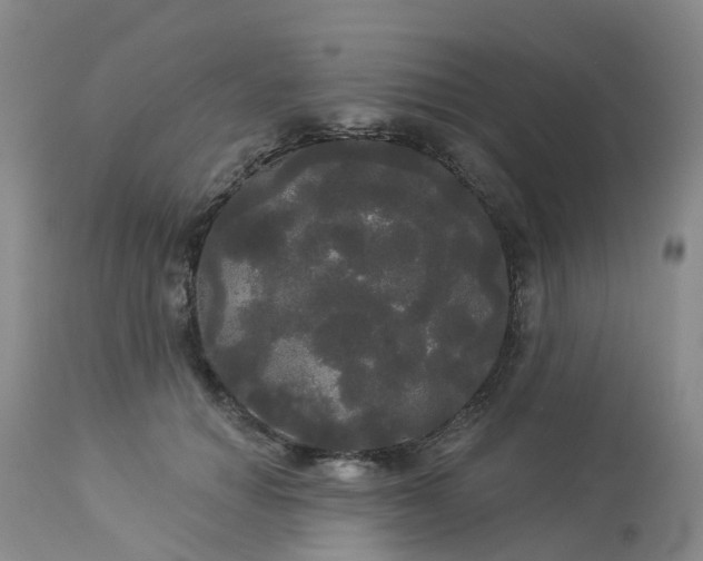 X0000113080654200909111004