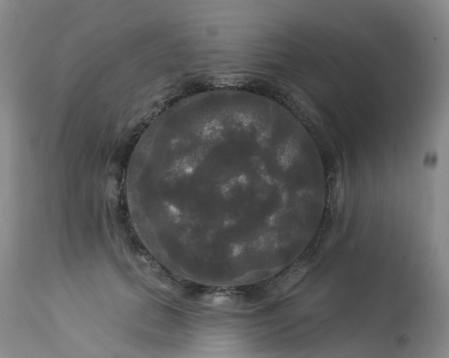 X0000113080655200909111004