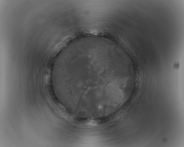 X0000113080656200909111004