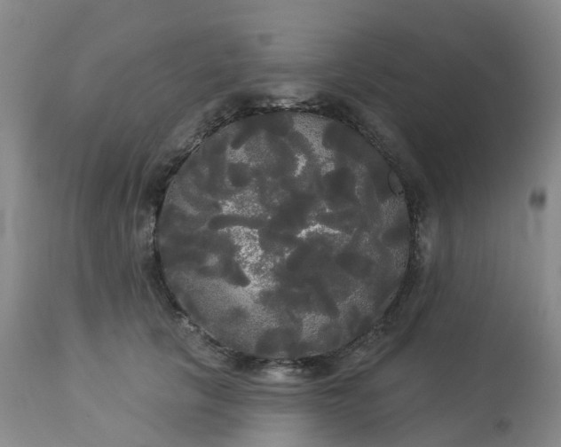 X0000113080657200909111004