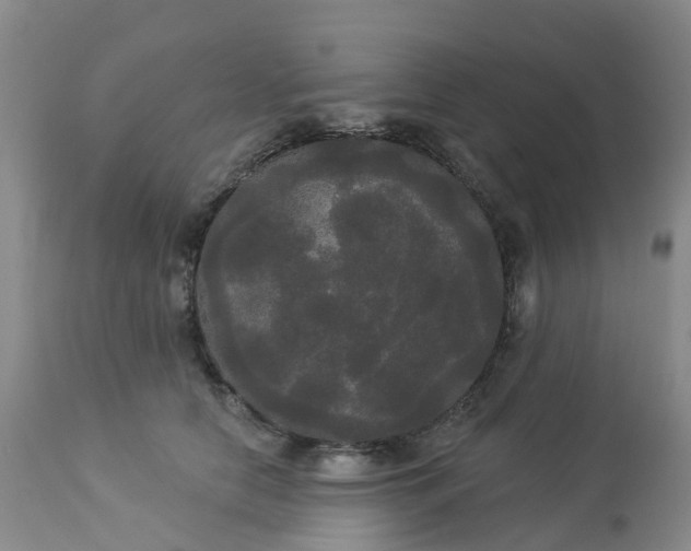 X0000113080658200909111004