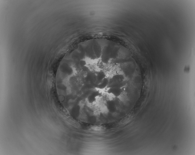 X0000113080659200909111004