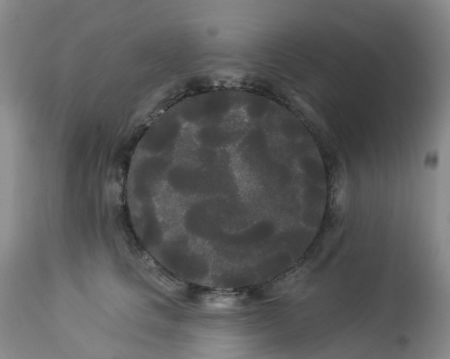 X0000113080661200909111004