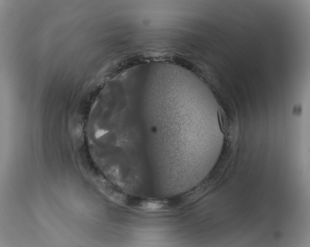 X0000113080662200909111004