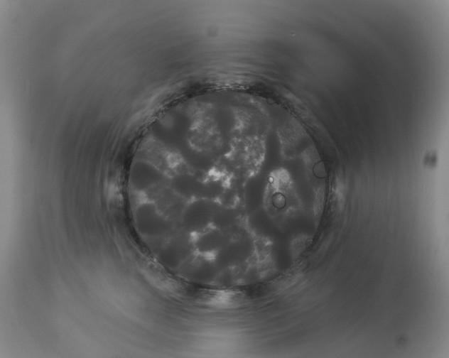 X0000113080663200909111004