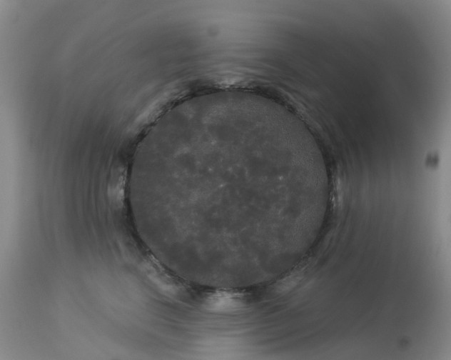 X0000113080664200909111004