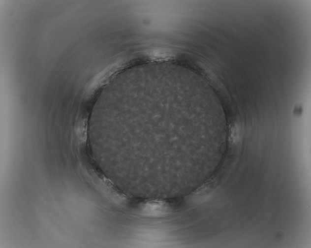 X0000113080666200909111004