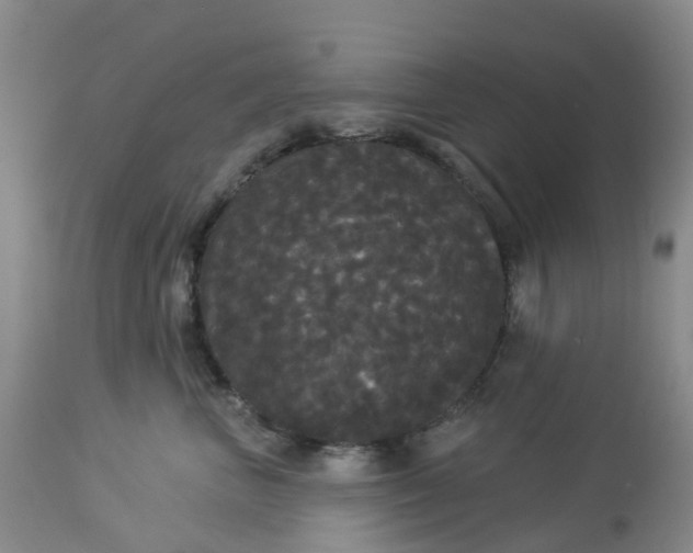 X0000113080667200909111004