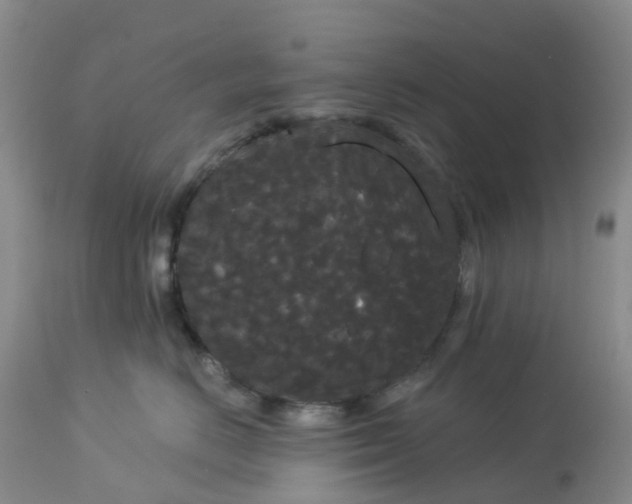 X0000113080670200909111004