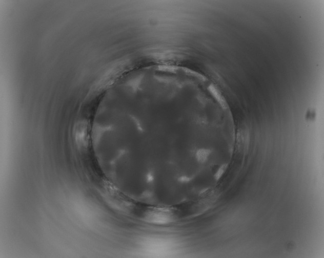 X0000113080671200909111004