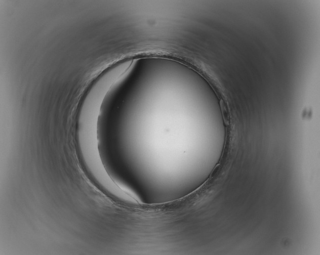 X0000113080673200909111004