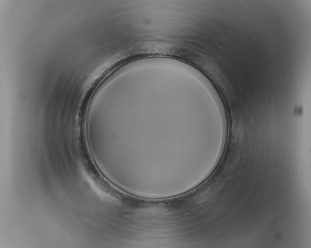 X0000113080674200909111004