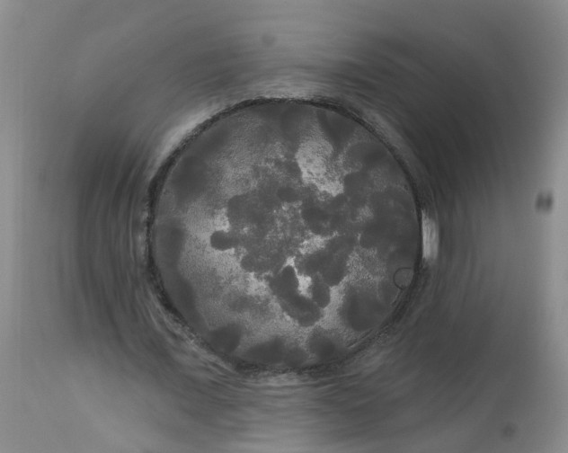 X0000113080675200909111004