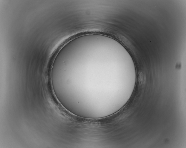 X0000113080676200909111004