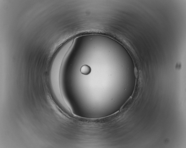 X0000113080677200909111004