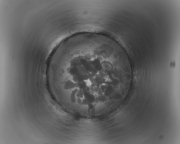 X0000113080679200909111004