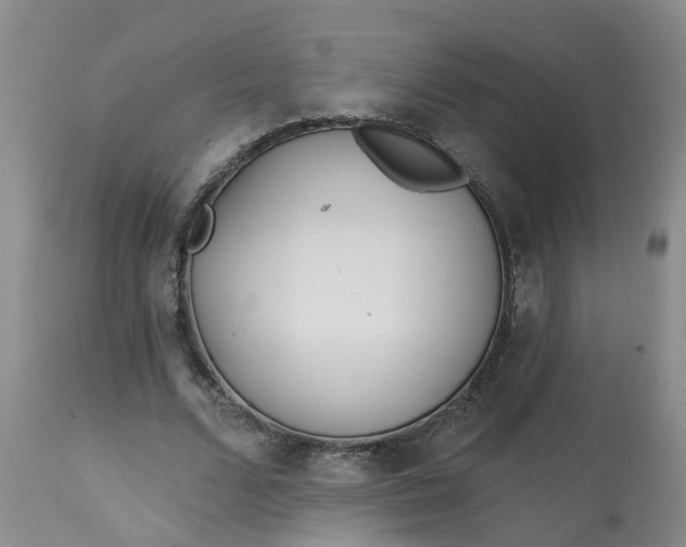 X0000113080680200909111004