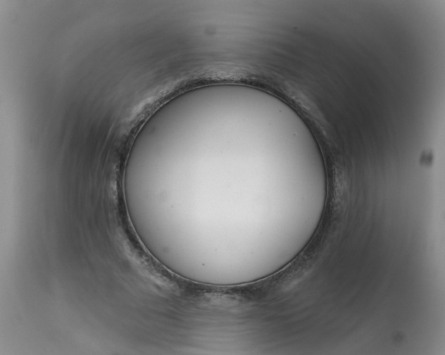 X0000113080681200909111004