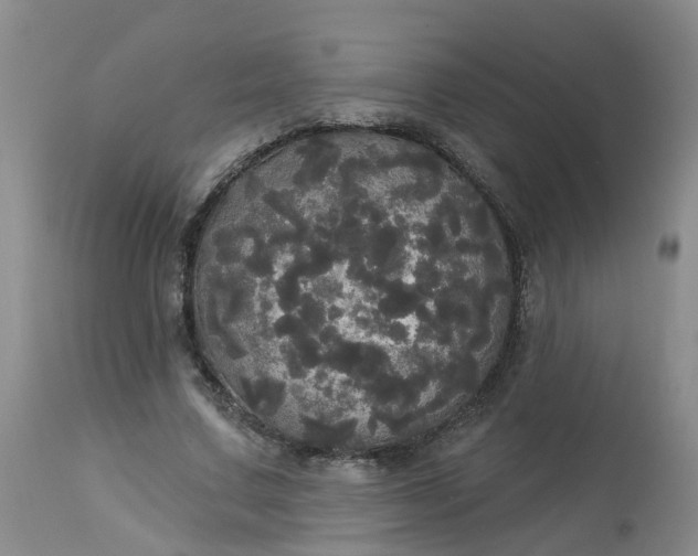 X0000113080683200909111003