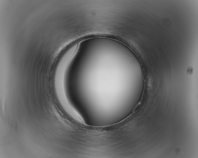 X0000113080684200909111003