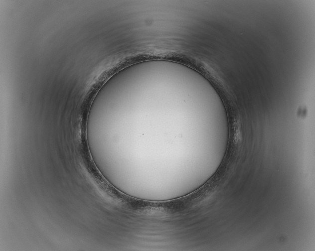 X0000113080685200909111003