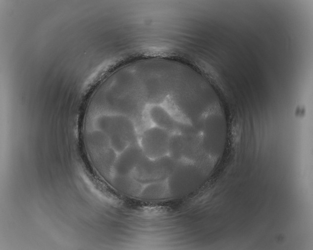 X0000113080686200909111003