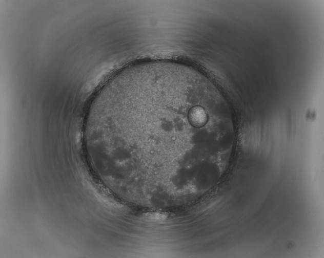 X0000113080687200909111003