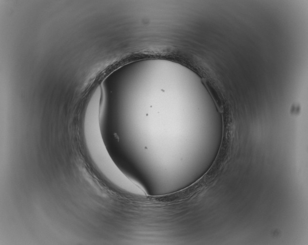 X0000113080688200909111003