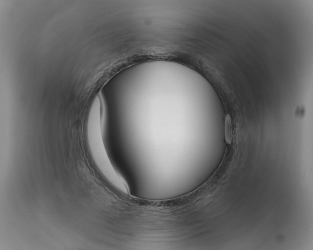 X0000113080689200909111003