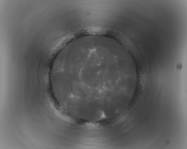 X0000113080690200909111003