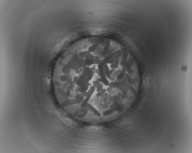 X0000113080691200909111003