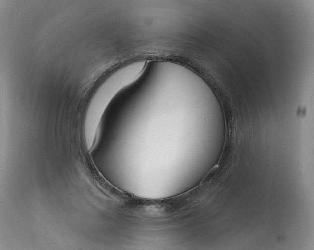 X0000113080692200909111003