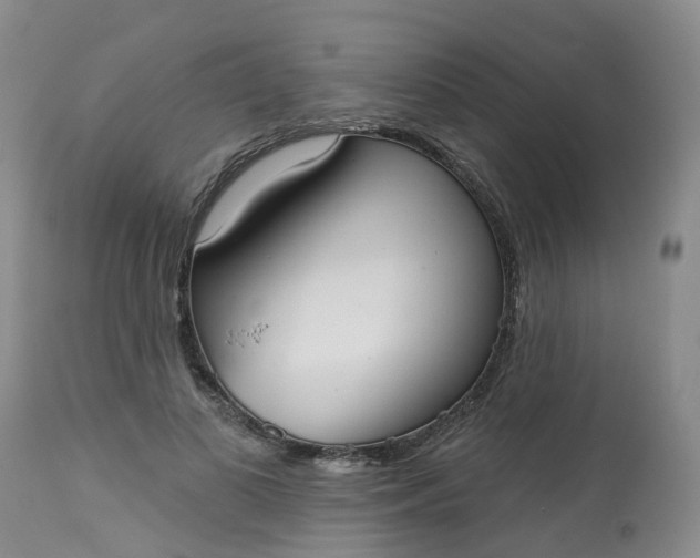 X0000113080693200909111003