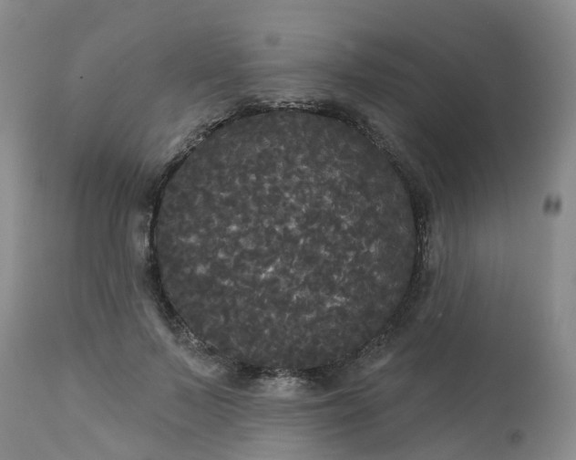 X0000113080695200909111003