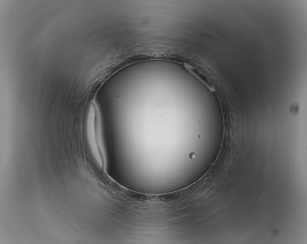 X0000113080696200909111003