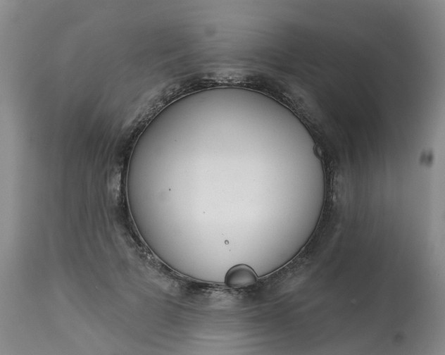 X0000113080697200909111003