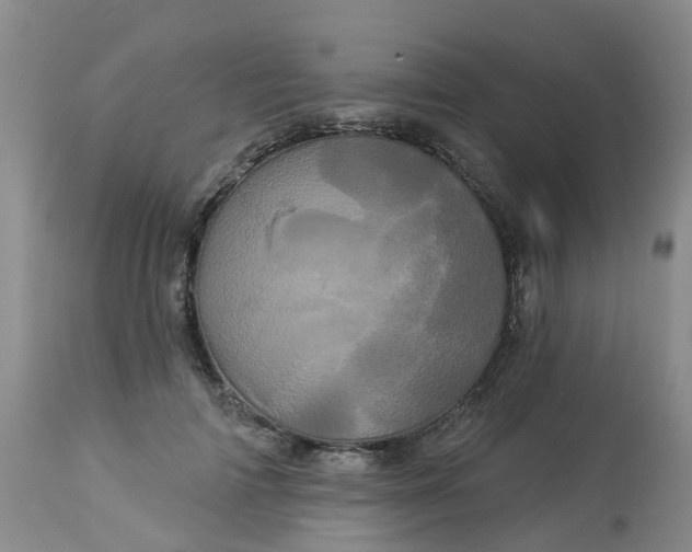 X0000113080698200909111003