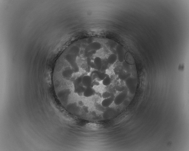 X0000113080699200909111003