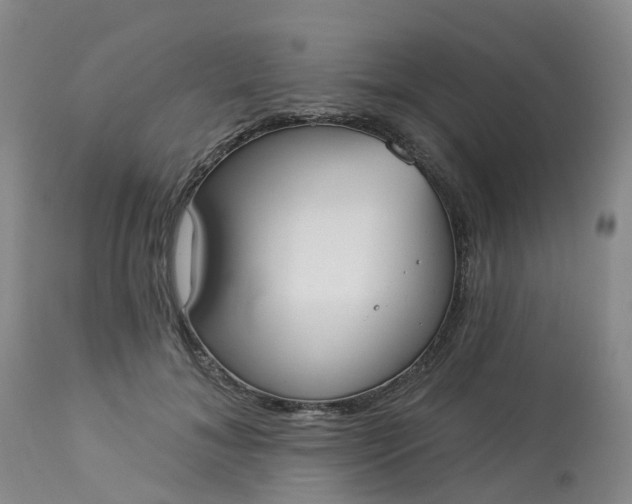 X0000113080700200909111003