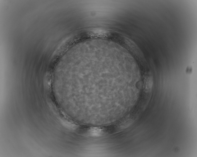 X0000113080701200909111003