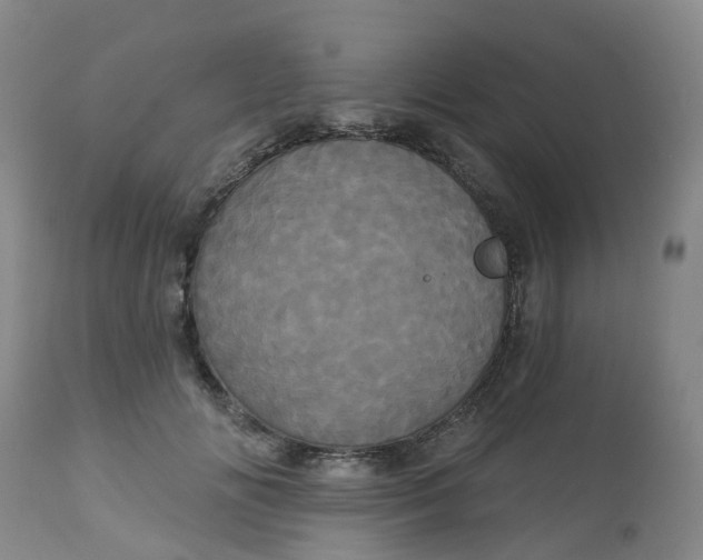 X0000113080702200909111003