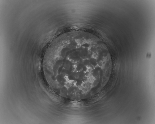 X0000113080703200909111003