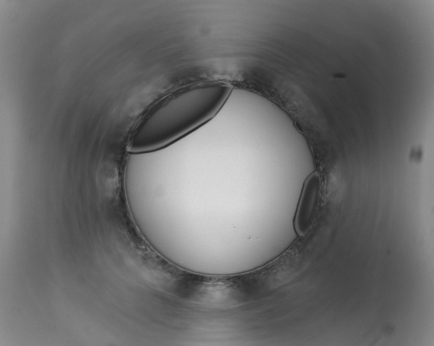 X0000113080704200909111003