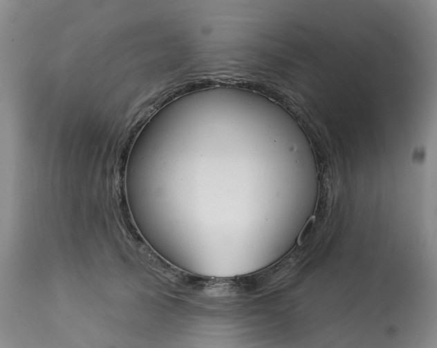 X0000113080705200909111003