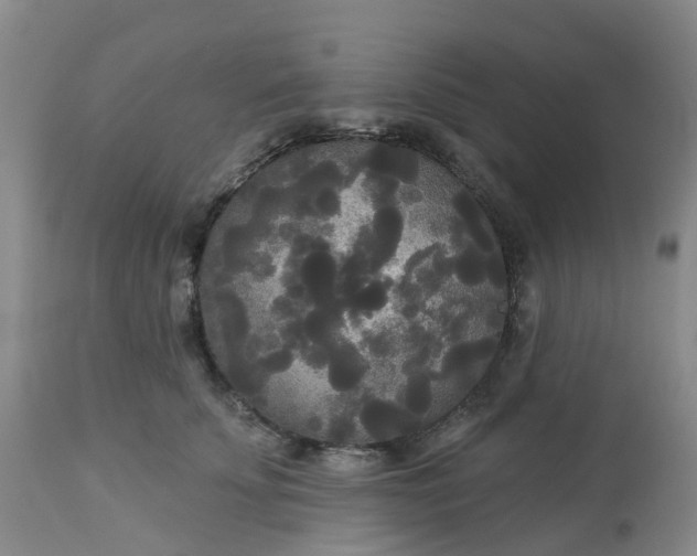 X0000113080707200909111003