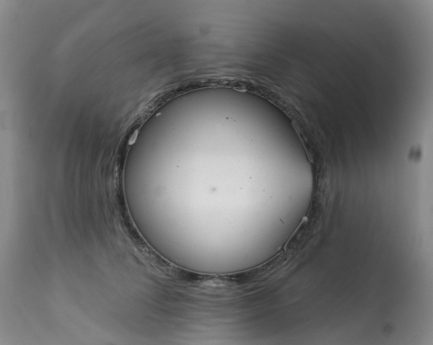 X0000113080708200909111003