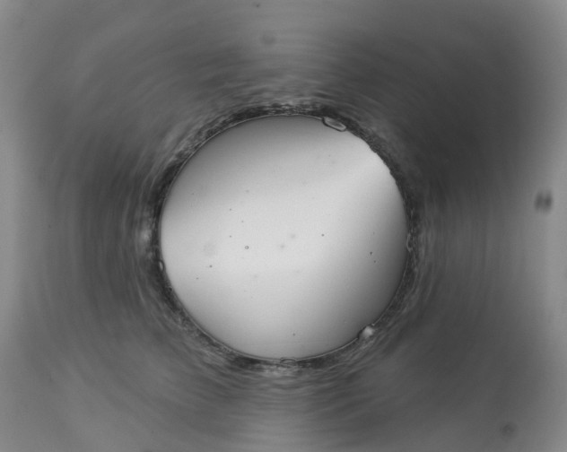 X0000113080709200909111003